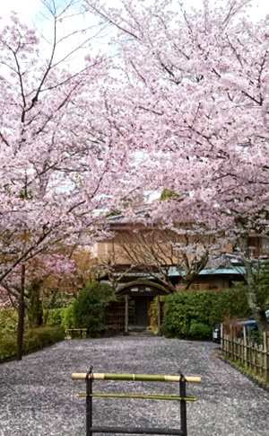 京都楓雅舎が手がけた庭写真