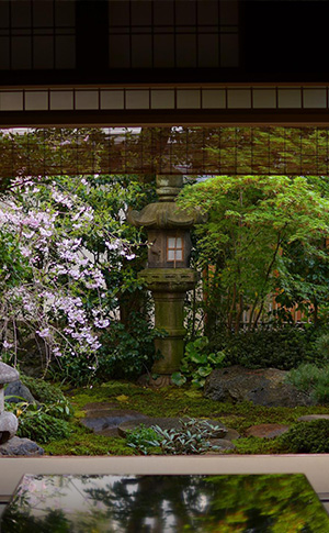 京都楓雅舎が手がけた庭写真