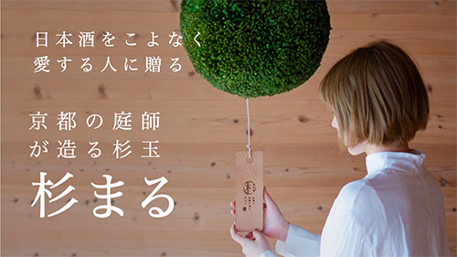 杉まる
