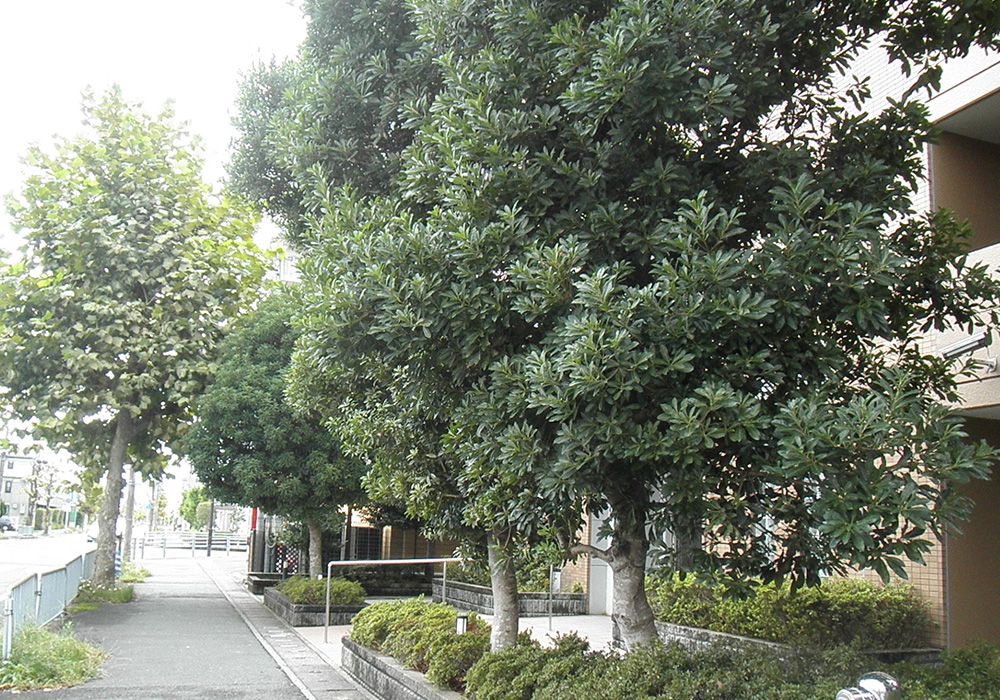 年間管理